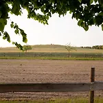 Holiday home Am Jungfernberg 2 Rankwitz